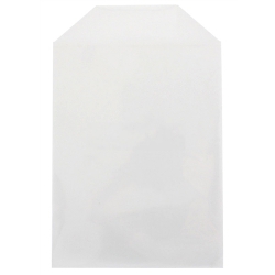 100 Cpp Clear Plastic Sleeve With Flap (fits 14mm Dvd Case Artwork)